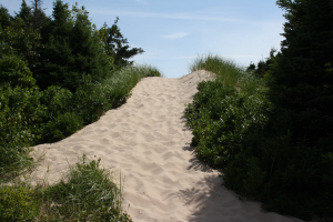 dune de sable - entre de notre plage